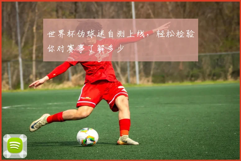 世界杯伪球迷自测上线，轻松检验你对赛事了解多少