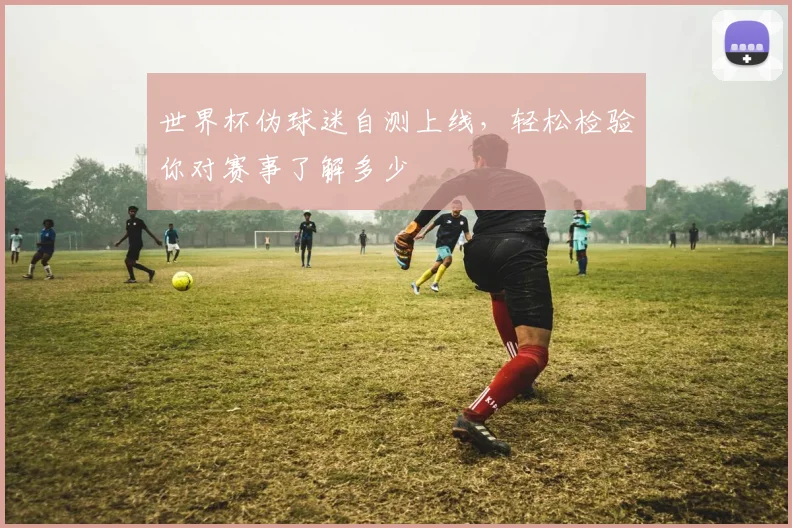世界杯伪球迷自测上线，轻松检验你对赛事了解多少