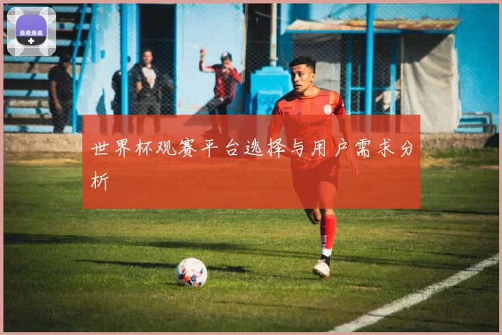 世界杯观赛平台选择与用户需求分析