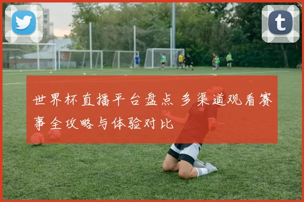 世界杯直播平台盘点 多渠道观看赛事全攻略与体验对比