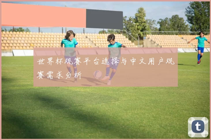 世界杯观赛平台选择与中文用户观赛需求分析
