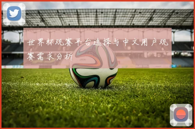 世界杯观赛平台选择与中文用户观赛需求分析