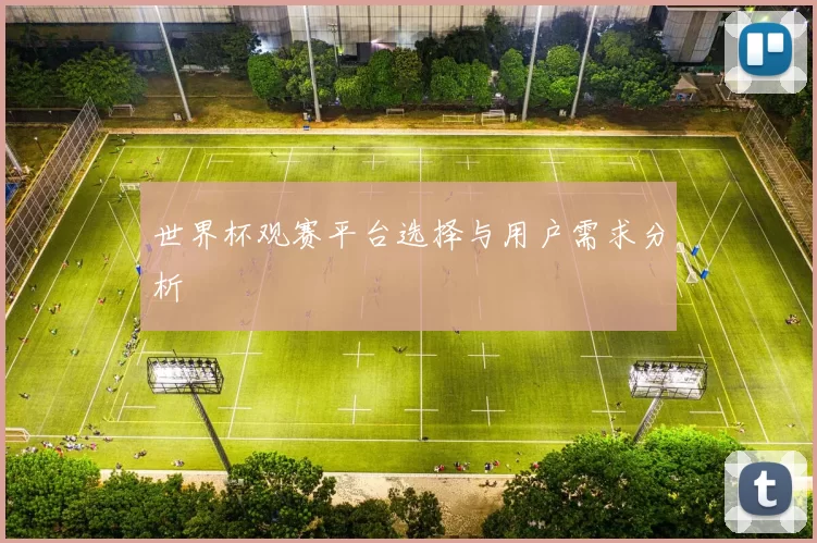 世界杯观赛平台选择与用户需求分析